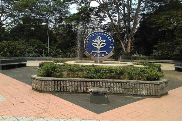 Berikut 8 Daftar Universitas Negeri Bogor Terbaik 2024